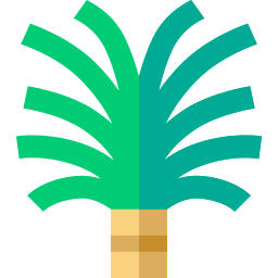 Sugar palm tree icon
