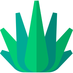 agawa ikona