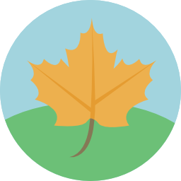 Maple leaf icon