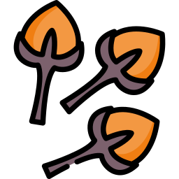 Clove icon