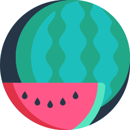 Watermelon icon