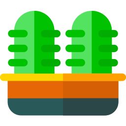 Cactus icono