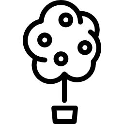 drzewo cytrynowe ikona