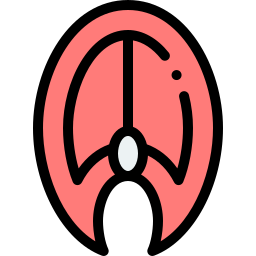 Salmon icon