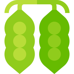grüne erbse icon