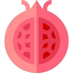 Pomegranate icon