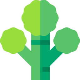 Brócoli icono