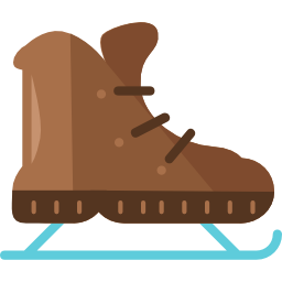 아이스 스케이트 icon