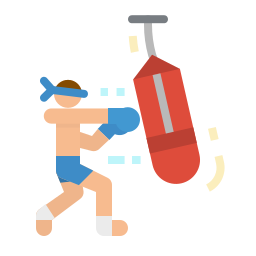 boxe Icône