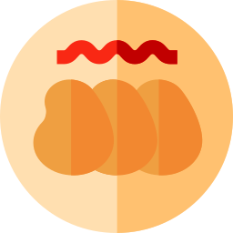 nuggets icon
