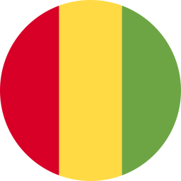 ギニア icon