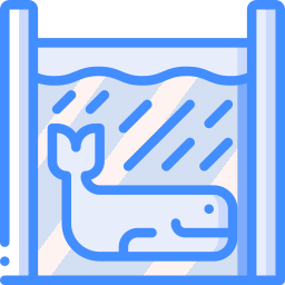 Whale icon