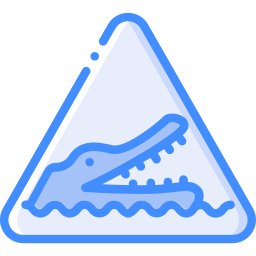 Crocodiles icon