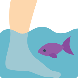 fisch-spa icon