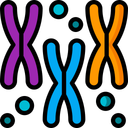 les chromosomes Icône