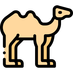낙타 icon