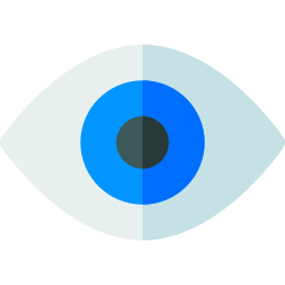 Vision icon