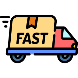 Express delivery icon