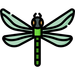 Dragonfly icon