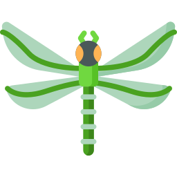Dragonfly icon