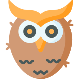 hibou Icône