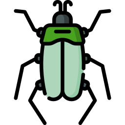 Beetle icon