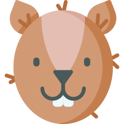 eichhörnchen icon