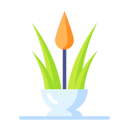 Aloe vera icon