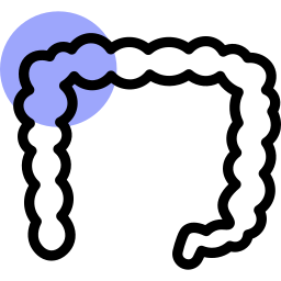 Colon icon