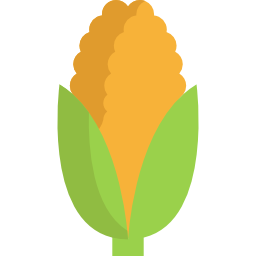 Corn icon