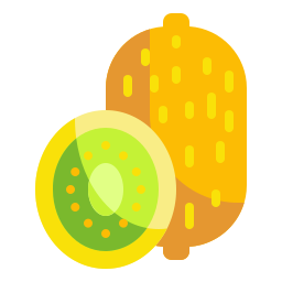 kiwi icon