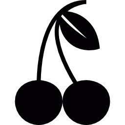 Two cherries icon