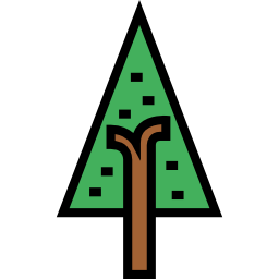 Pine icon