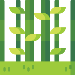 bambù icona