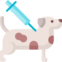 Vaccine icon