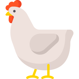 poulet Icône