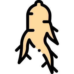 인삼 icon