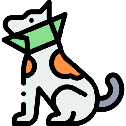 Cone of shame icon