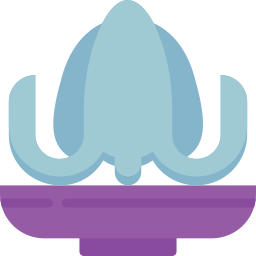 Calamar icono