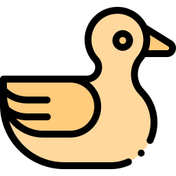 Duck icon