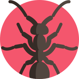 Hormiga icono
