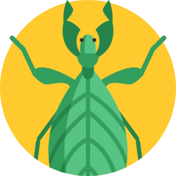 Insecto hoja icono