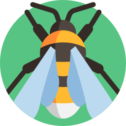 Bumblebee icono