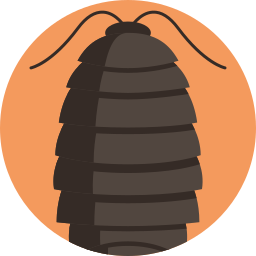 woodlouse icoon