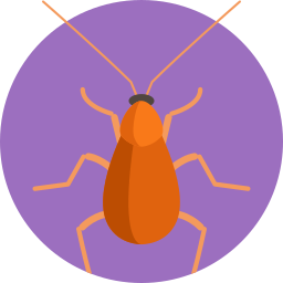 Коричневый полосатый таракан иконка