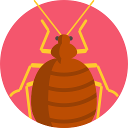 Flea icon