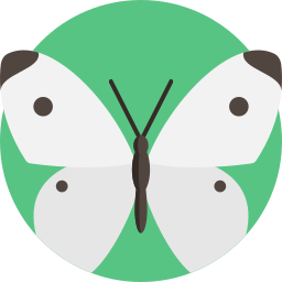 Cabbage butterfly icon