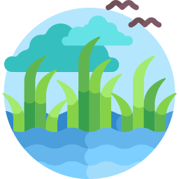 Swamp icon