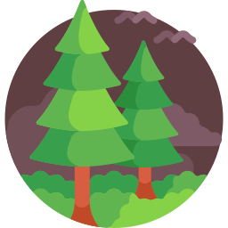 Forest icon