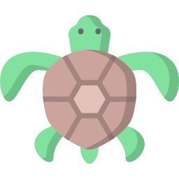 tartarughe icona